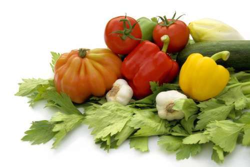 alimentatie14
