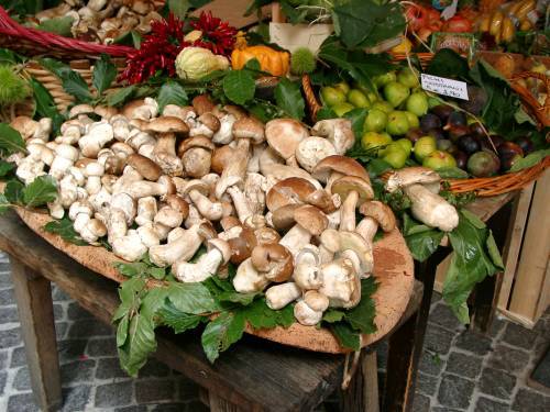 alimentatie19