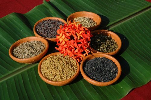 ayurveda1