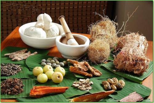ayurveda2