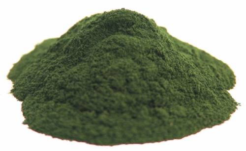 chlorella