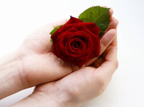 floare34