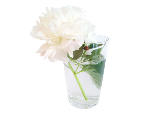 floare6