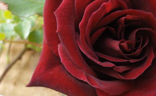 floare63