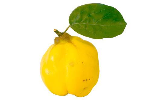 fructe-gutuie