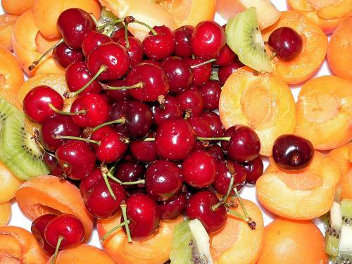 fructe18