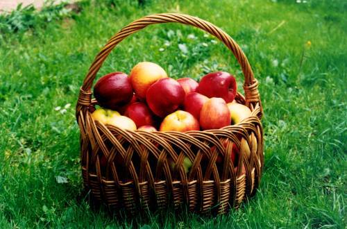 fructe25