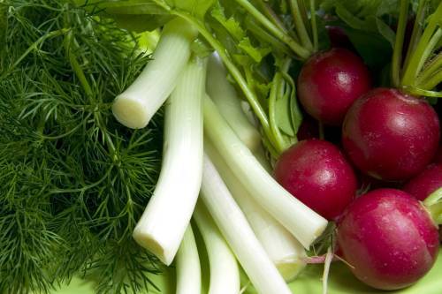 legume4