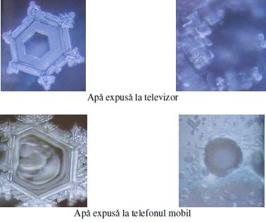 limbajul-apei-10
