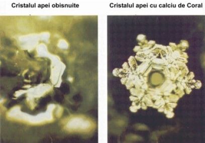 limbajul-apei-16