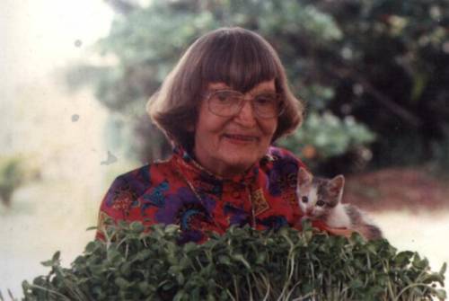 Ann-Wigmore