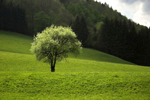 natura3