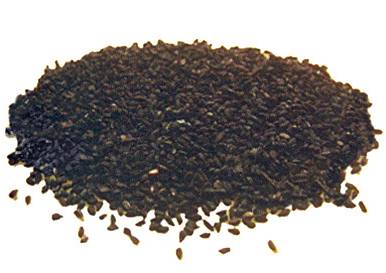 cernusca1
