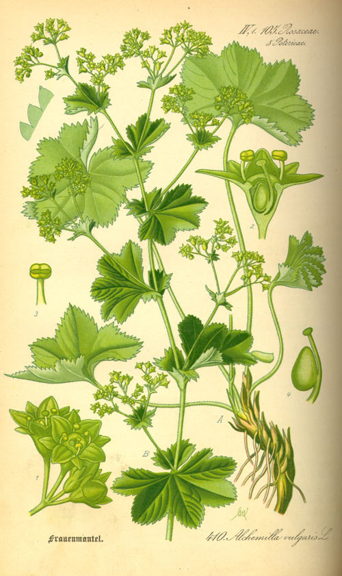 cretisoara2