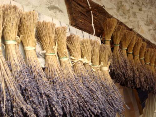 lavanda1_2