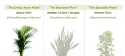 aer-proaspat