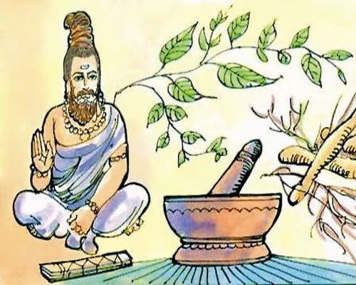 ayurveda-stiinta-vietii