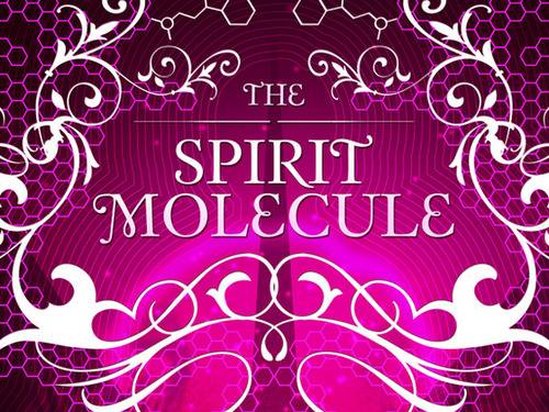 the-spirit-molecule